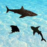 90 COE or 96 COE 2 Sharks (3") and a Stingray (2"),