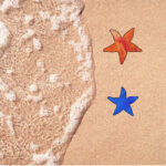 Starfish Precut 96 COE Starfish shape. Orange, Blue, White, or Clear.